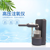 high pressure Oxygen analyzer Nanometer Spray cosmetology instrument household Face hold Portable intelligence Import small-scale Water meter