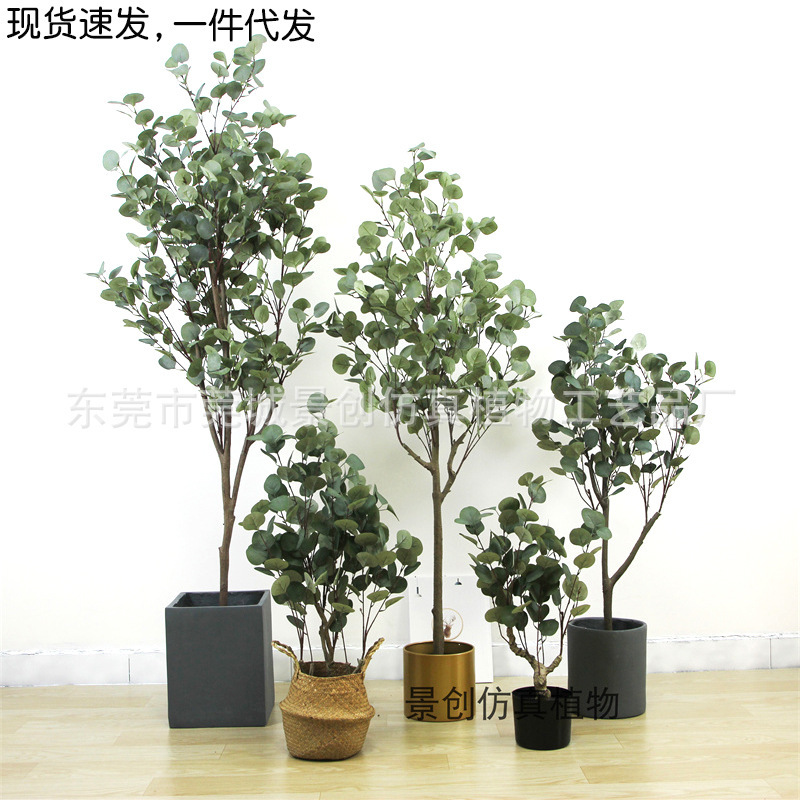 Factory wholesale Nordic ins wind simulation plant money tree Eucalyptus window decoration artificial fake green plants