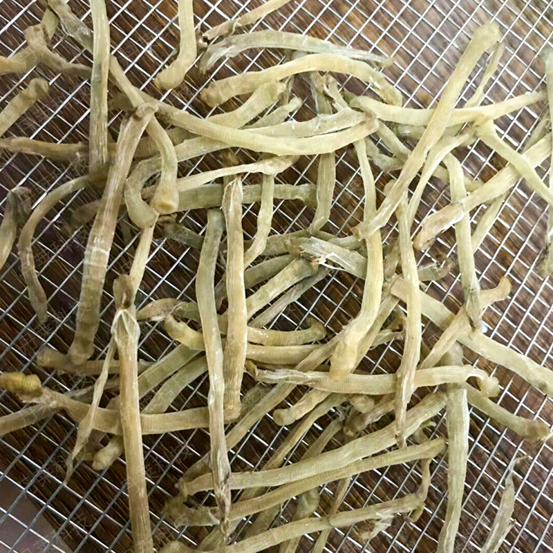 沙虫烘干机 全自动海产品烘干炉 空气能热泵海鲜烘干设备 丹莱