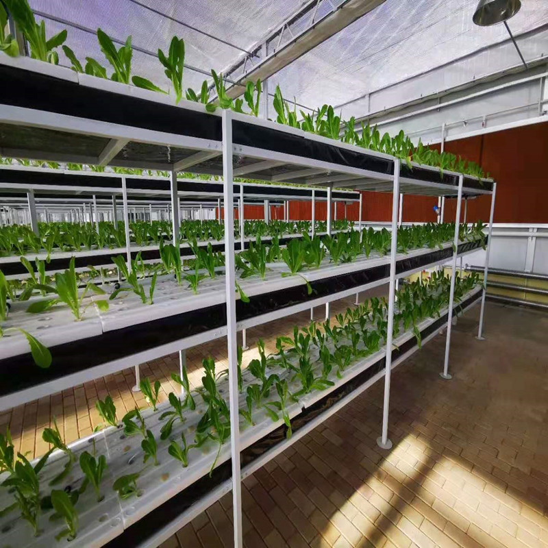 DFT espuma cultivo sin suelo invernadero cultivo sin suelo melón fruta hoja vegetal plantación NFT hidropónico vegetal con placa de agujero