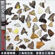 ˱˱δչ3Ǵbս̾µԭδչ̫