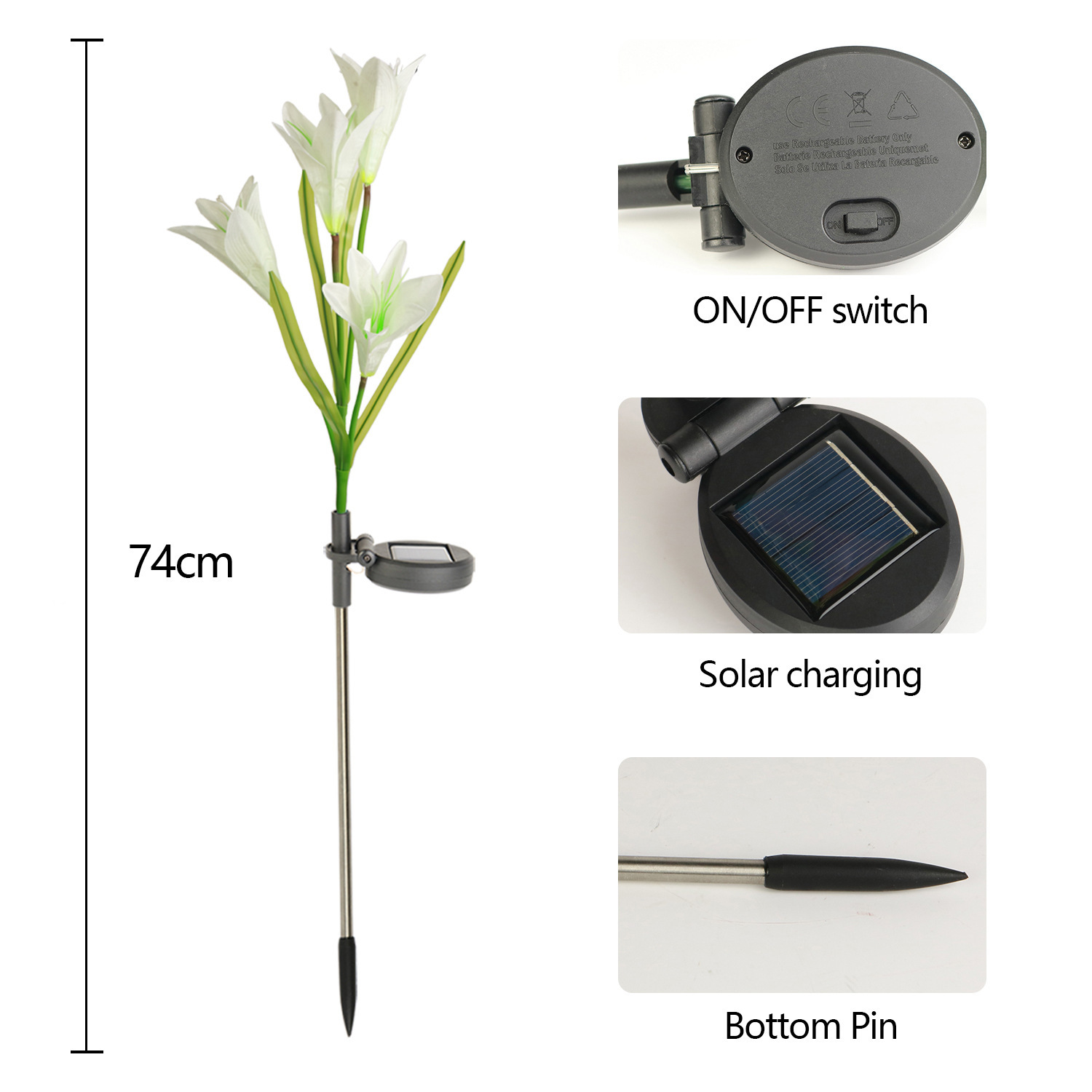 흰 백합 - 화려한