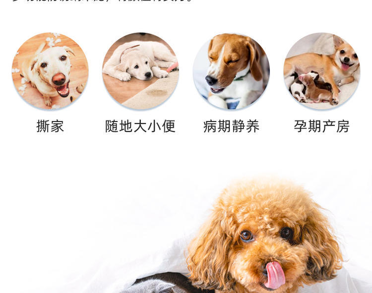 详情07