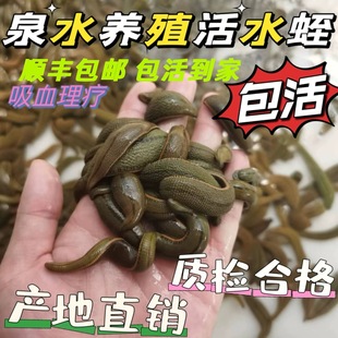 Ұ����Ѫ����Λ� ���w  ���� ˮ�ί��� ��߅Λ�ȷ�ţ�κ�؛