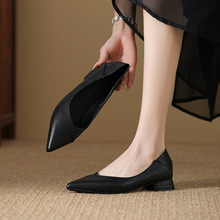 ɫ߸Ь_ƽ׆Ь2025¼^ͨŮЬȹӵЬ\ڰٴ