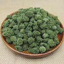 2026年三七花新花文山三七花2年3年4田七花茶农家云南文山田七花