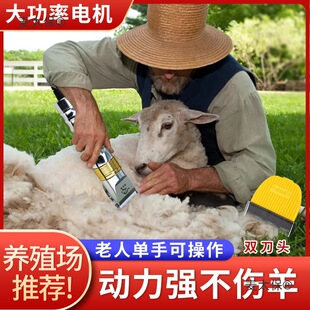 �����J��ë��Ƽ�����ë��������ë����늄����Ӵ���Ȯ�d��̫��