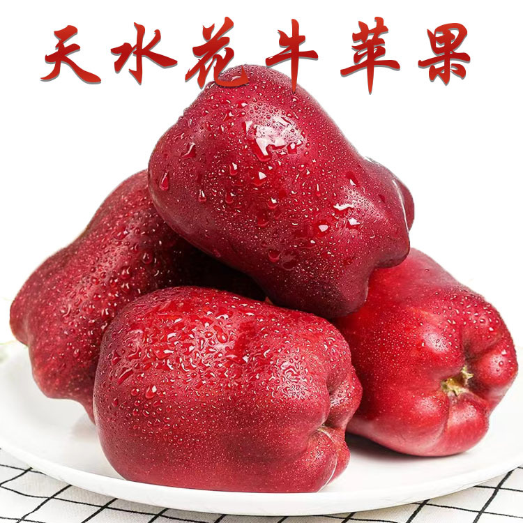甘肃天水花牛苹果新鲜水果红蛇果宝宝孕妇甜粉苹果批发一件代发