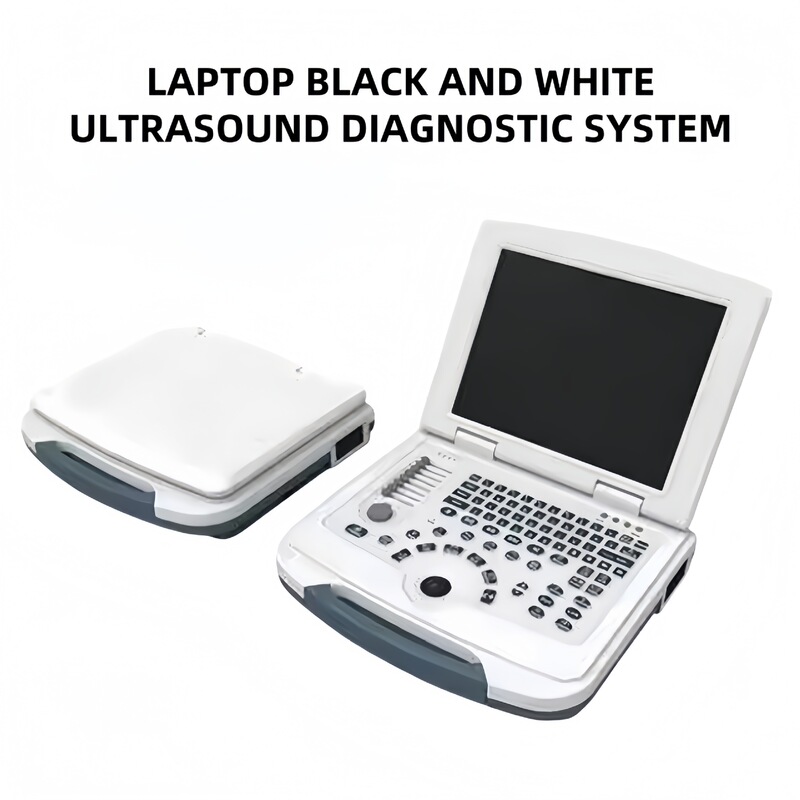 B-Ultrasound Machine Foreign Trade English Rechargeable Black and White Ultra-Laptop Ultrasound Diagnostic System