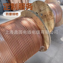 防雷接地线  硬/软  铜绞线TJR1.TJ 上海厂家价格价格优惠