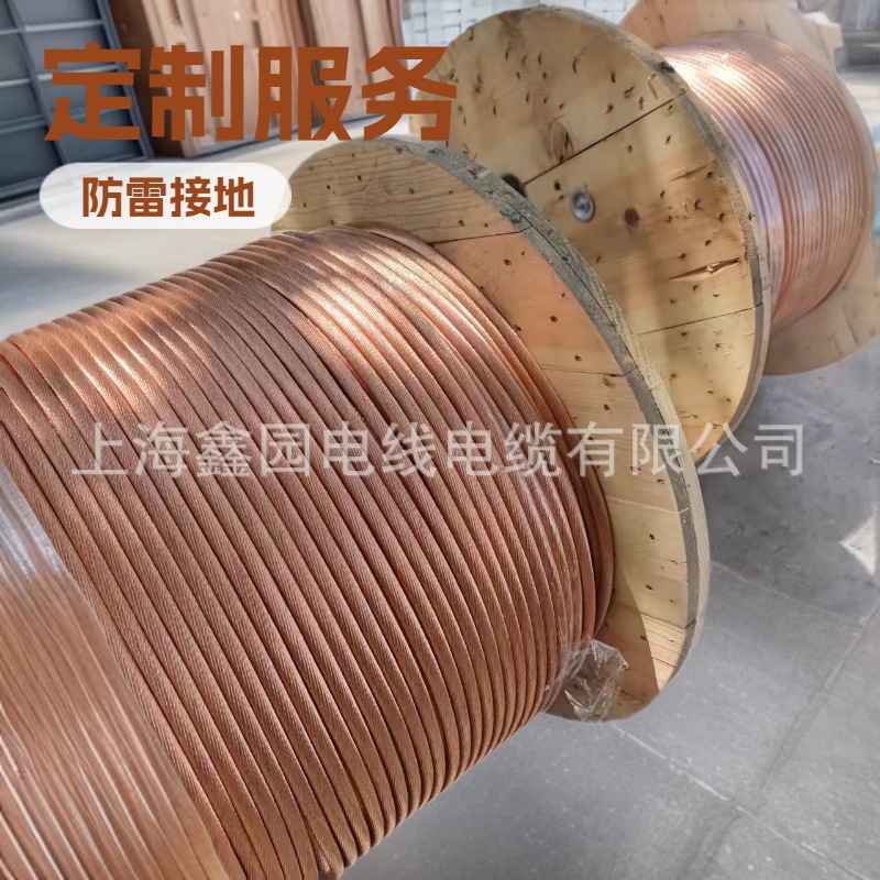 防雷接地线  硬/软  铜绞线TJR1.TJ 上海厂家价格价格优惠