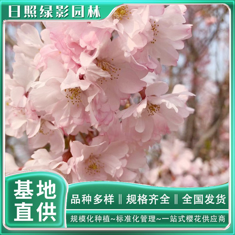 12082654975_1004685042 副本.jpg