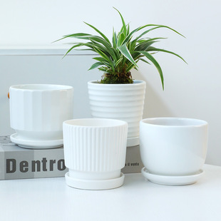 ��ɫ�մɻ��莧�бP�A�κ��s����׺��Q�y�@ˇ���ԼҾ��b�ܛ�b