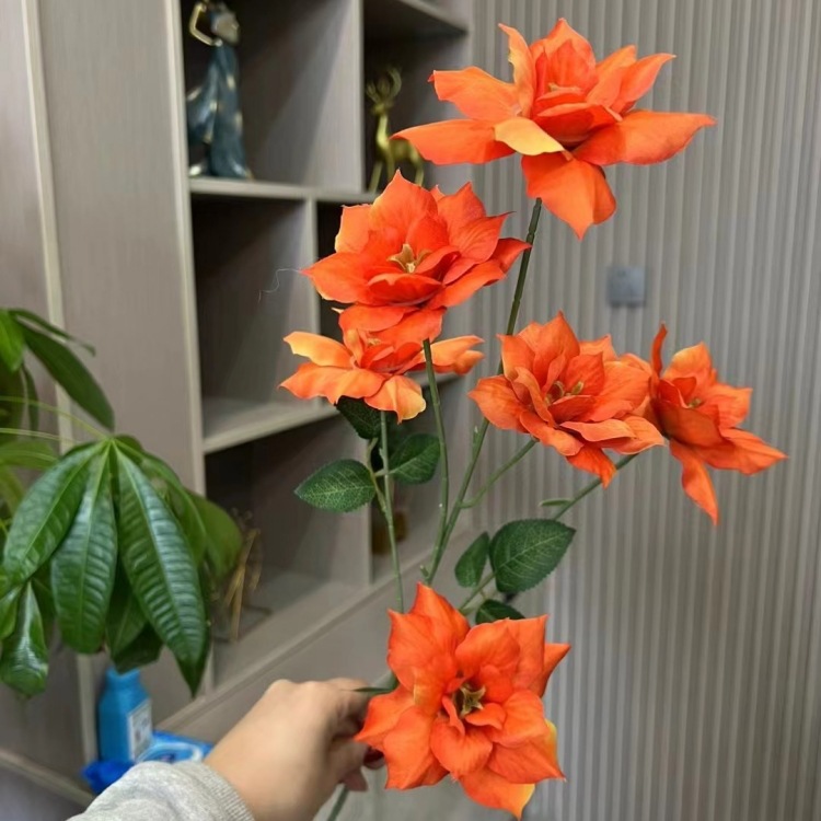 오렌지