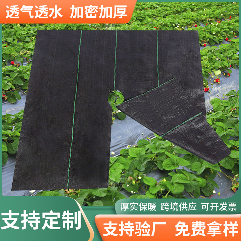 切片防草布抗老化pp切片打孔果园花卉园艺地布透气透水除草抑草布