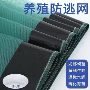 10���L�Bֳ���،���С���r���ӾW�з���~���ܷ���Ĥ�r���Bֳ���W