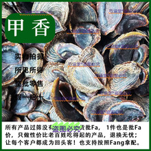 șă| ˮĸ  Ʒ؛  500