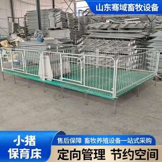 跨境定制仔猪保育床 可按需调整尺寸养殖场用小猪保育床定做