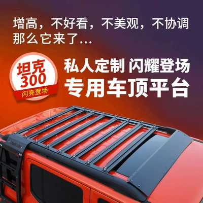 Tank 300 Dedicated Internal Roof rack
