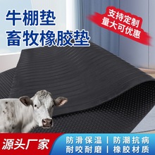 �S�����l��ɫ�����|���i���؉|�p�����z�|�i��ţ���|ţ��|������