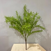 ����ֲ��5������ˮ���Ե���ާ�ˮ��΢���^�Gֲ���쾰�b�ֲ��