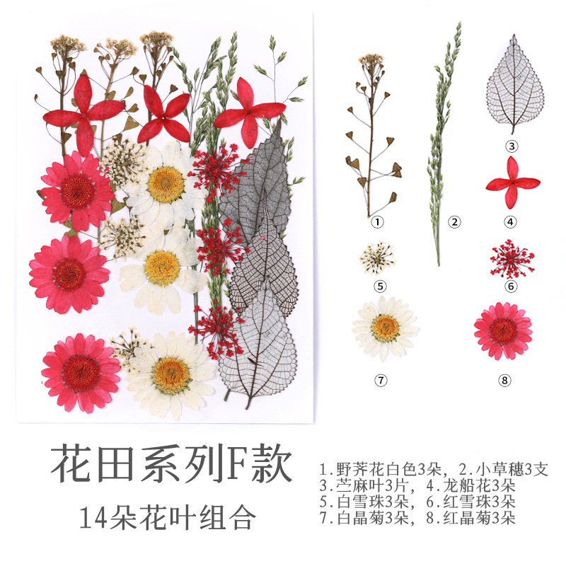 필드 시리즈(24송이)