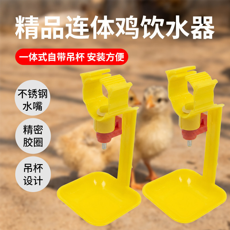Automatic nipple waterer for chickens