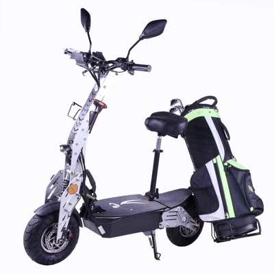 Golf Cart, Qatlanan elektrik velosipedlər