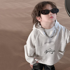 Children's Sweatshirt 2024 Spring New Arrival Boys' Korean Style Hooded Sweatshirt Baby Alphabet Casual Top Little Kids Trendy