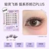 【NEW! Glue-free model】Large capacity clear Su Daji