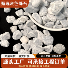 灰砾石园林造景水洗石室内装饰水磨石庭院铺路骨料胶粘石灰色卵石