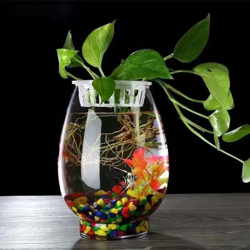 5f868d15-23f7-47a7-9f33-dcc38a41ae01.jpe