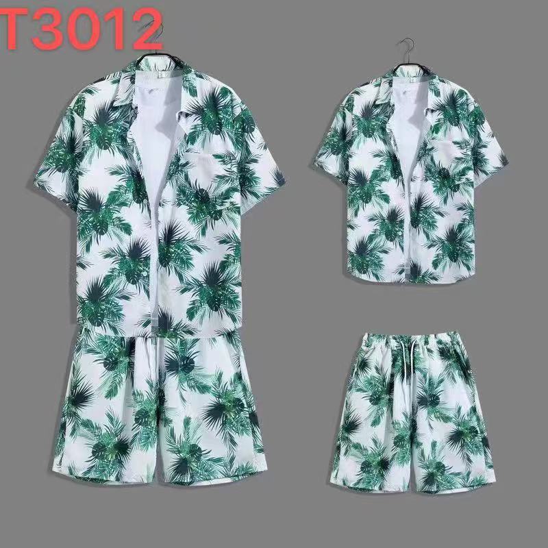 T3012白