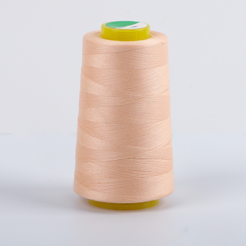 샴페인 컬러*508