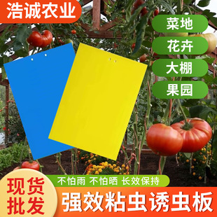 �S���p��ճ�x���E�R���N�S�{�w�xС���w���@մ��ω�T����ճ�����