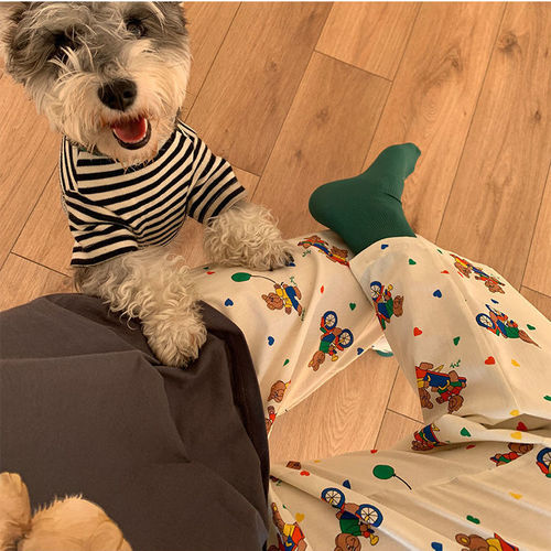 Walking pants!  Cartoon Balloon Bear Pajama Pants Women's Summer and Autumn New Home Air Conditioning Pants Loose Casual Pants