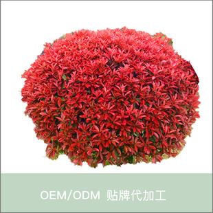 �Զ��x�t�~ʯ骘���ͥԺ�e���G����ľ���Լt�_�e�h����ߴ羰�^