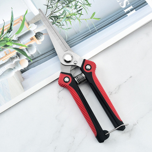 Stainless steel pruning shears, flower potted garden tools, branch grafting scissors, fruit picking spring fruit tree shears