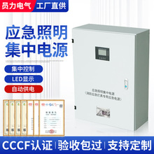 A型应急照明集中电源24V36V消防控制箱疏散灯具分配电箱EPS配电箱