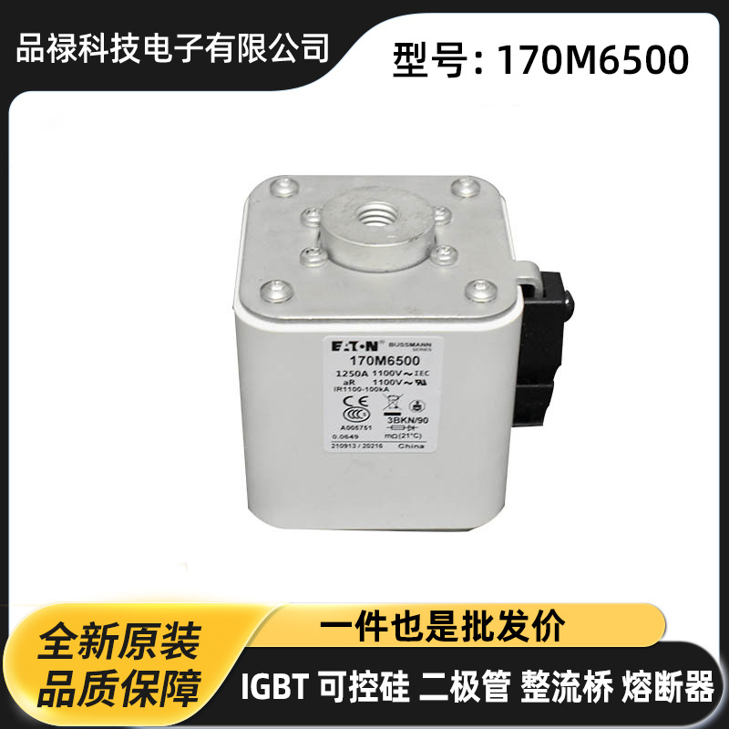 170M6839 170M6858 170M6859 170M6860原装快速熔断器 熔芯