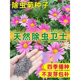 ���x�շN�����m������Nֲ�༾�_������ò�ֲ��ͥԺ�׻������