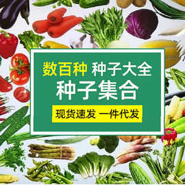 源头厂家批发四季香菜蔬菜种子瓜果种籽农田阳台盆栽蔬菜种子大全