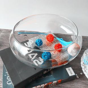Hydroponic container dish daffodil basin copper money grass water lily bowl lotus money grass glass flower pot plant vase