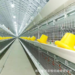 厂家定制自动化鸡笼 阶梯式蛋鸡笼 养鸡场养殖设备 肉鸡笼养设备-阿里巴巴