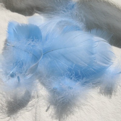 밝은 하늘색 (100 루트 배치)