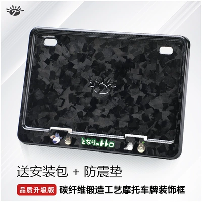 Plate Holder License Plate Frame Little | Nömrə qabı - snowflake-forged-totoro-2-shockproof-pad-installation-package