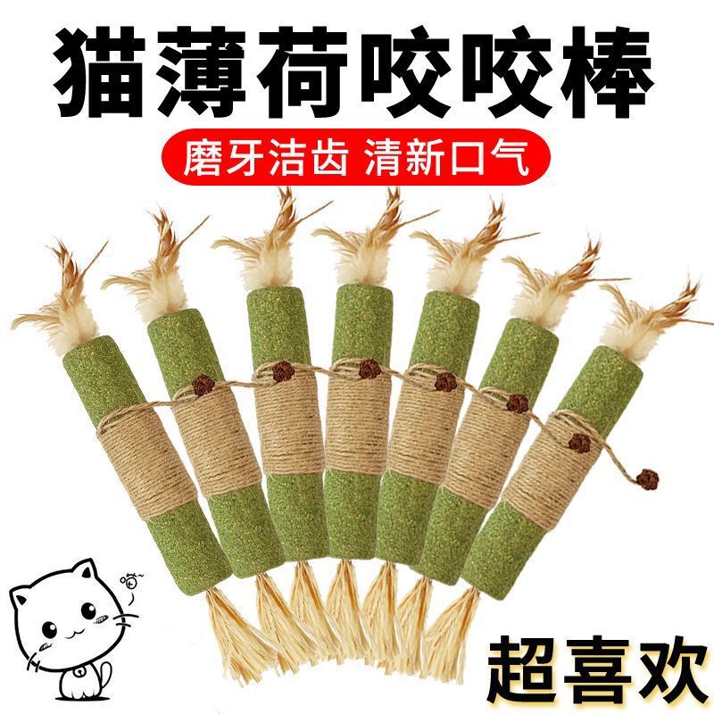 Catnip Teething Stick, Self-Pleasure and Boredom Relief Cat Toy, Bite-Resistant Raffia Stick, Cat Teasing Stick, Kitten Teething Cat Supplies