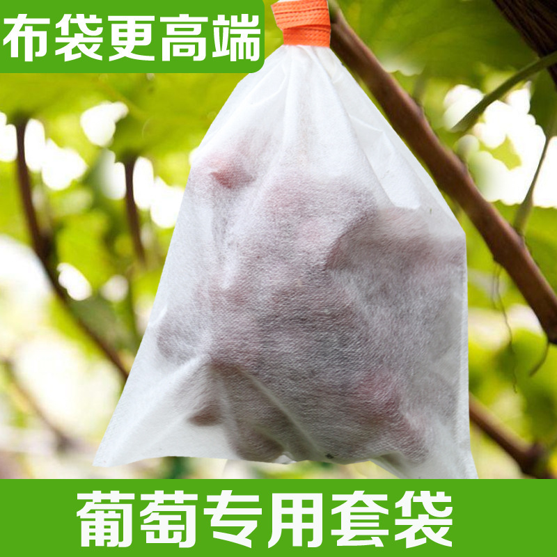 不織布ブドウ果物カバー袋防鳥虫袋通気性果物保護梨カバー袋専用卸売り|undefined