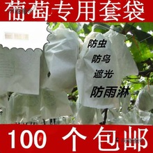 葡萄代子套果袋水果套袋纸套果子的袋子果树葡萄袋子防鸟防麦太保