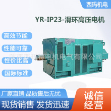 ����������YR6304-12��710KW10KV��ѹ�����ͽ��������첽�綯��